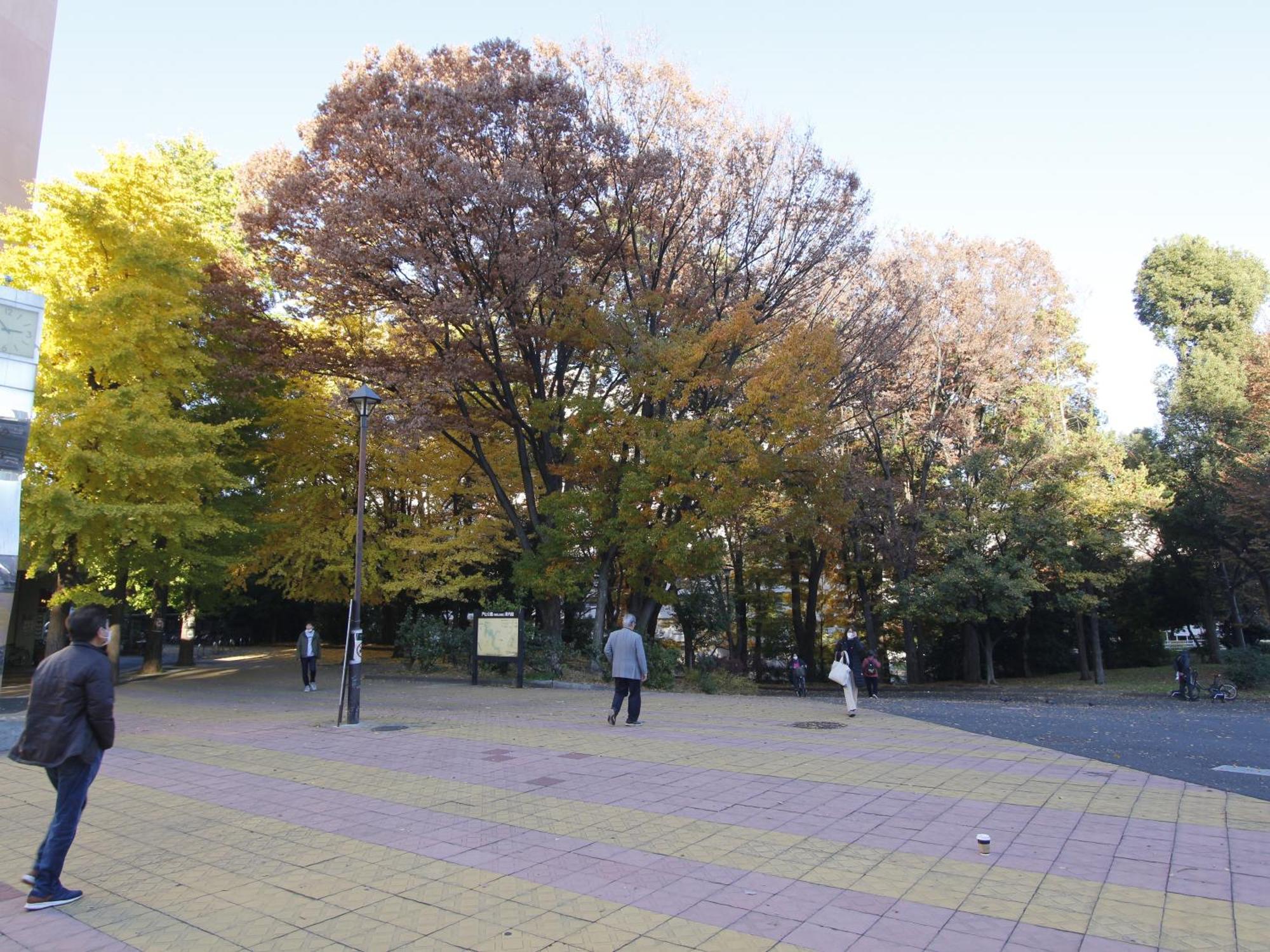 和貴ビル Lejlighed Tokyo Eksteriør billede